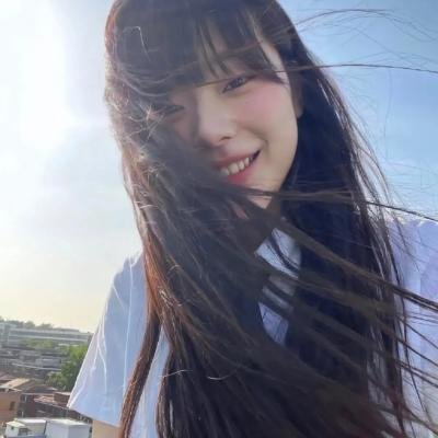 夏日假期玫瑰花 在线观看封面